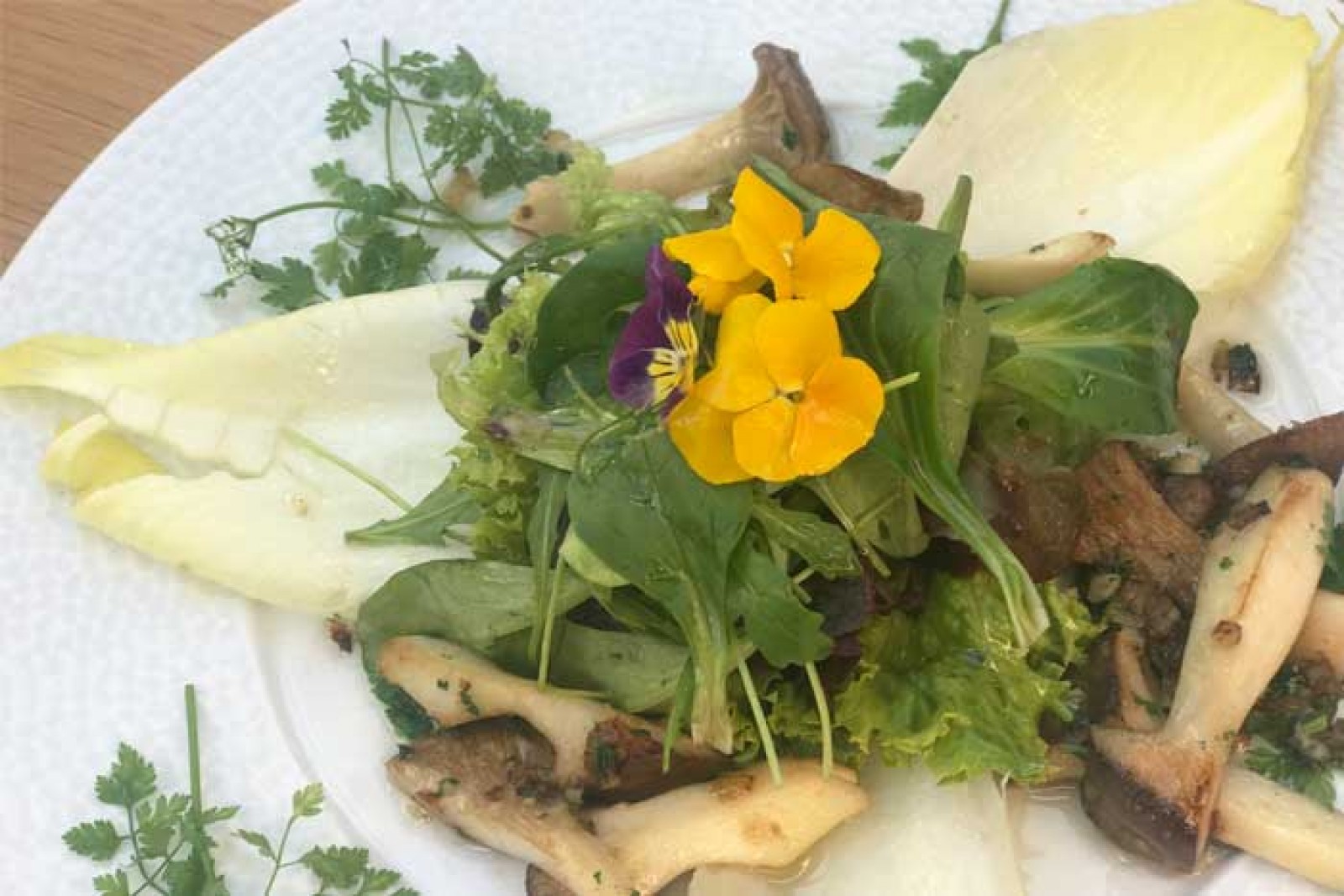 Restaurant Goldenes Lamm in Villach, Foto 16