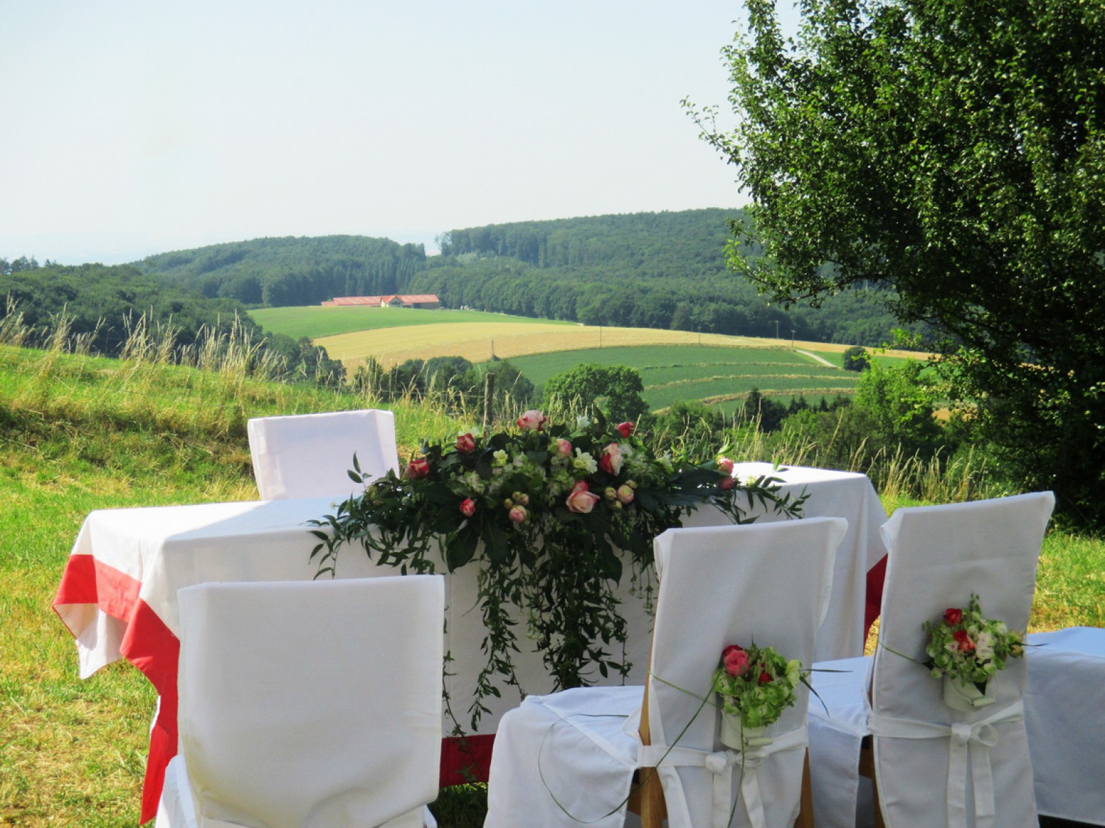 Bonka - Das Wirtshaus im Wienerwald in Oberkirchbach, Foto 8