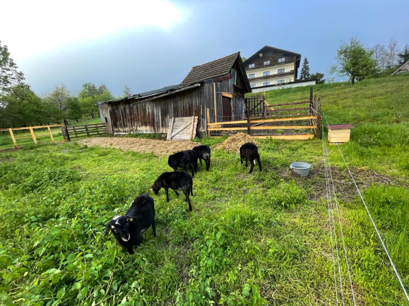 Wirtshaus Zum Gustl in St. Stefan im Gailtal, Foto 18