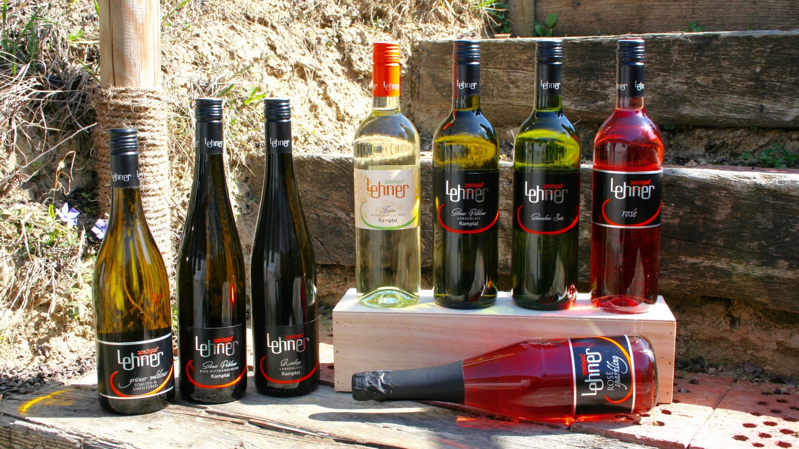 Weingut-Heuriger Lehner in Langenlois, Foto 2