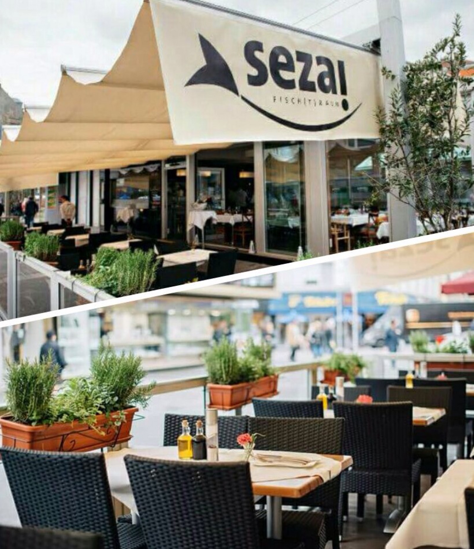 Sezai Fisch(T)raum Fisch & Meeresfrüchte Restaurant  in Wien , Foto 10