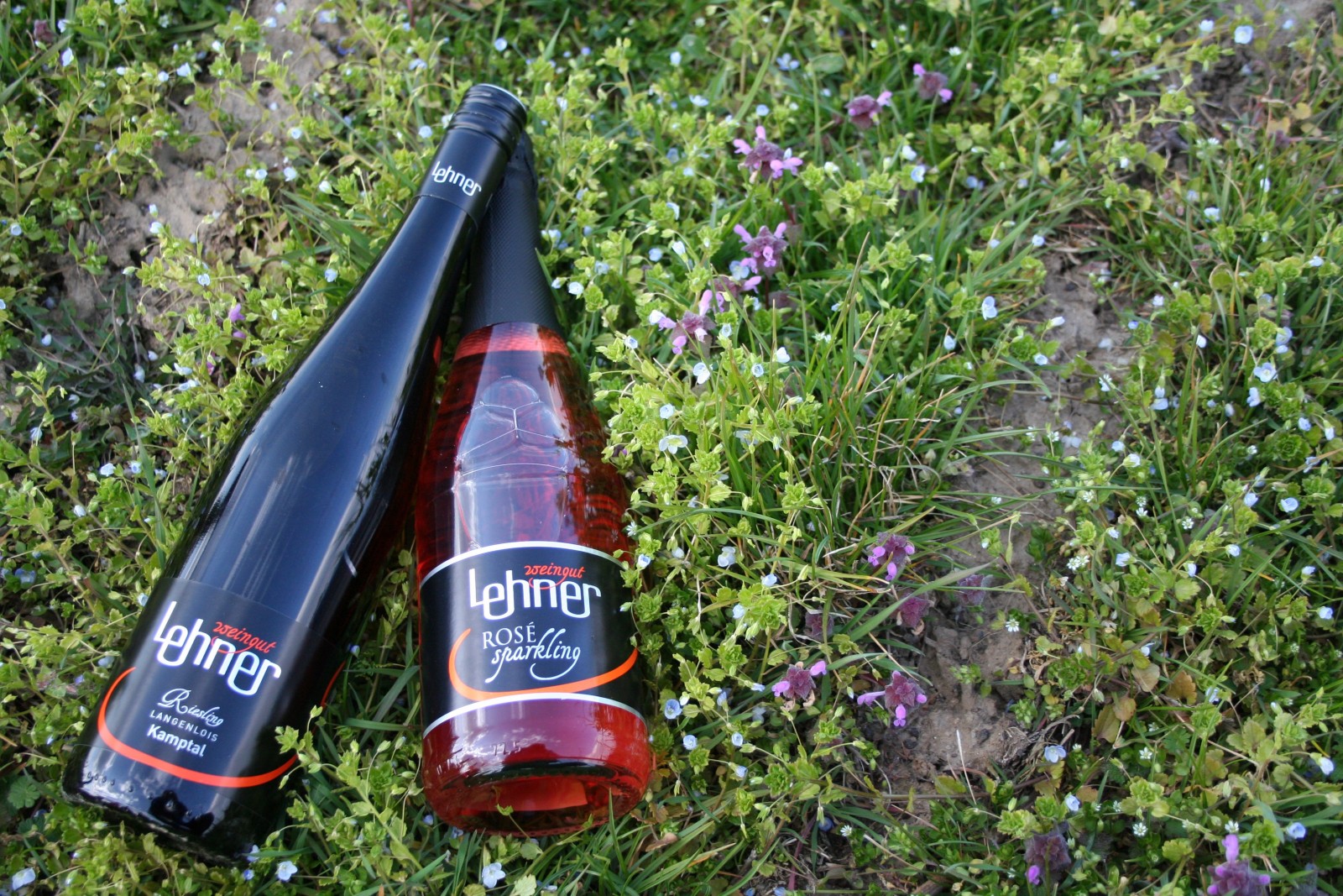 Weingut-Heuriger Lehner in Langenlois, Foto 1