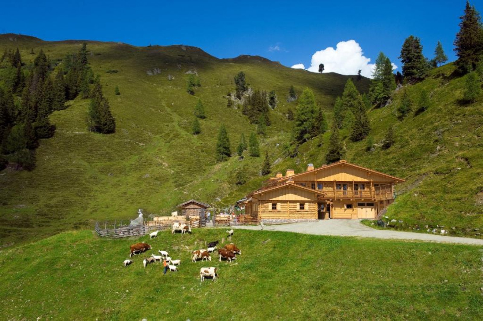 Loosbühelalm in Großarl, Foto 27