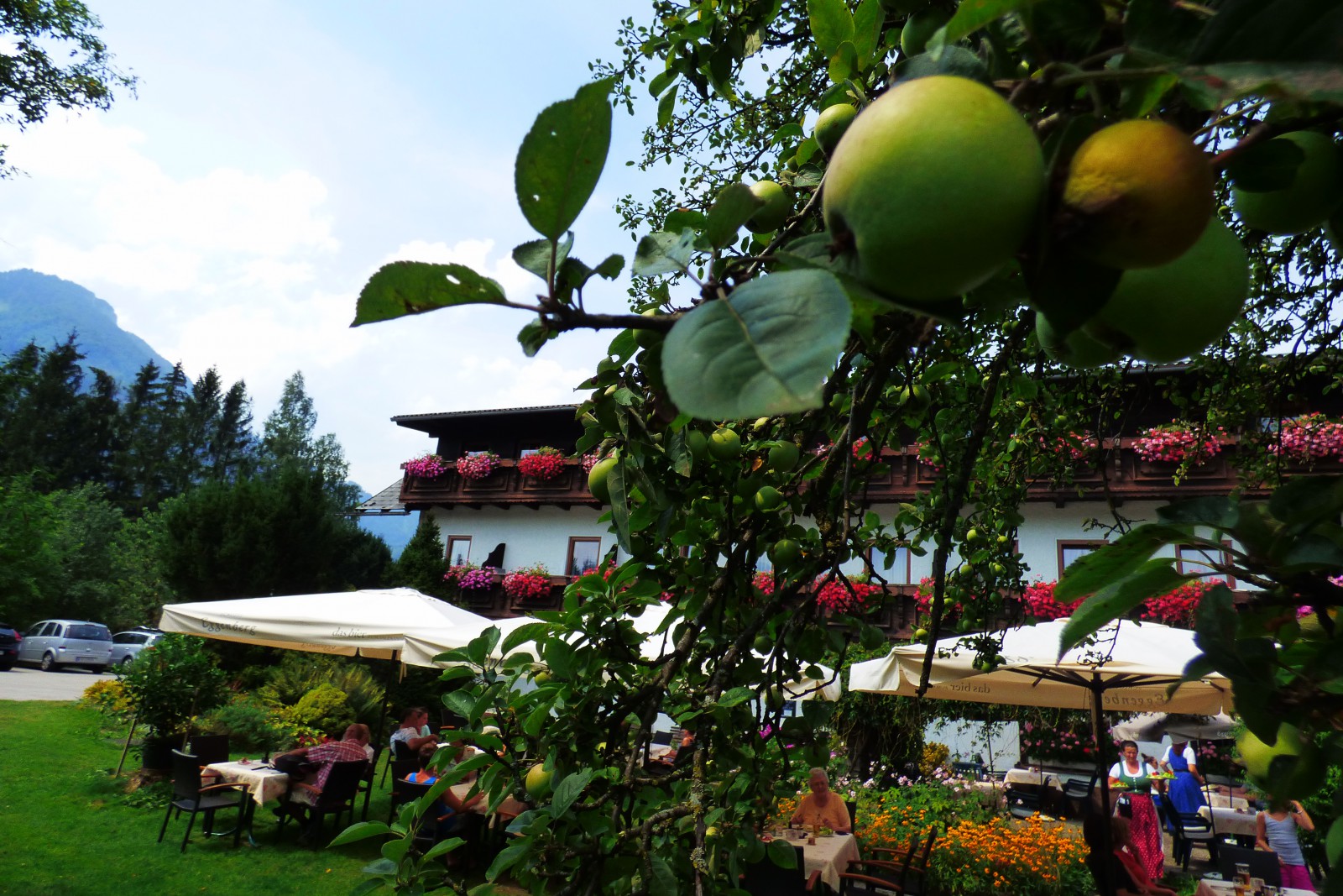 Forellenhof Wieselmuehle in Grünau im Almtal, Foto 2