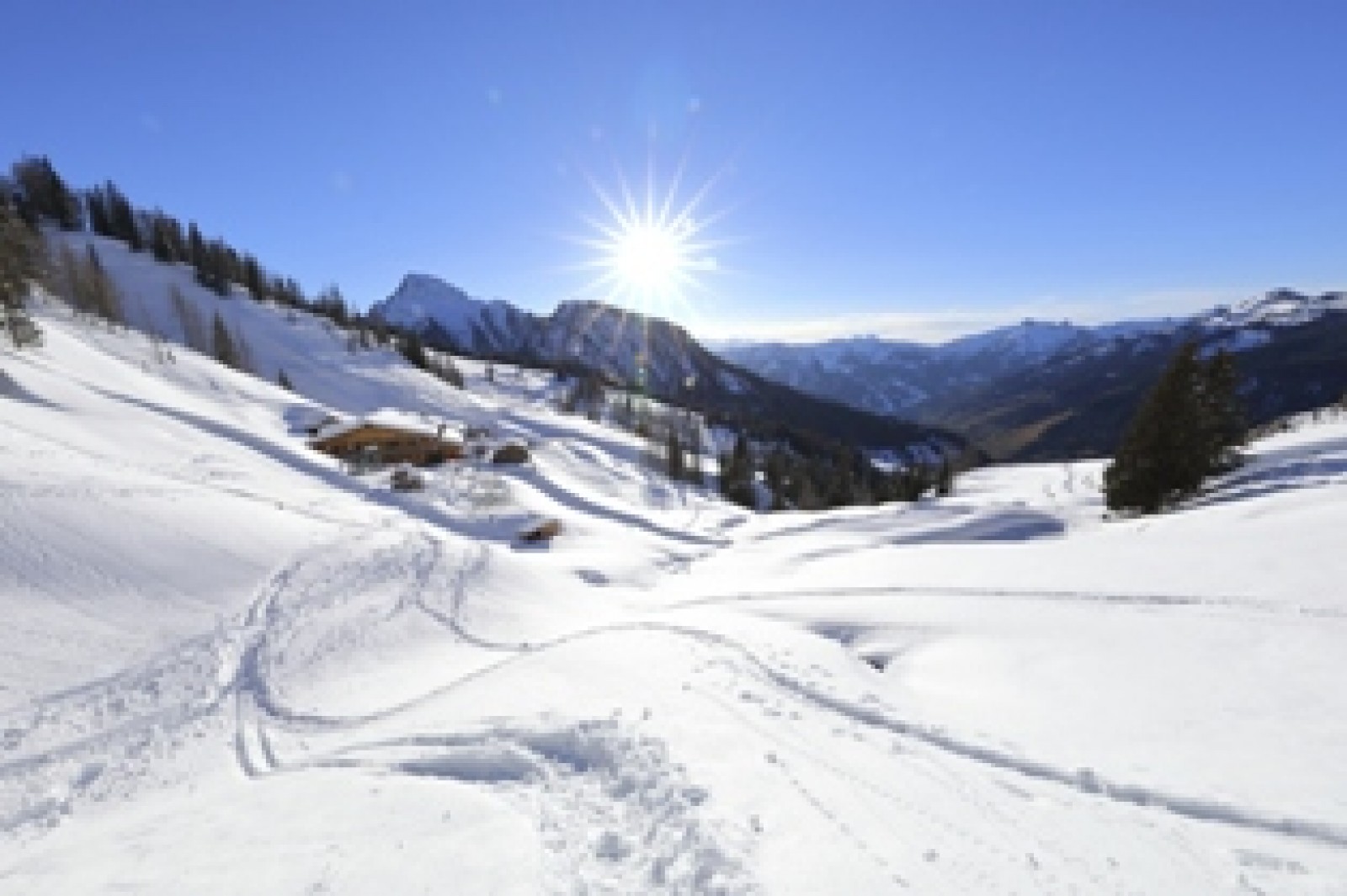 Loosbühelalm in Großarl, Foto 1