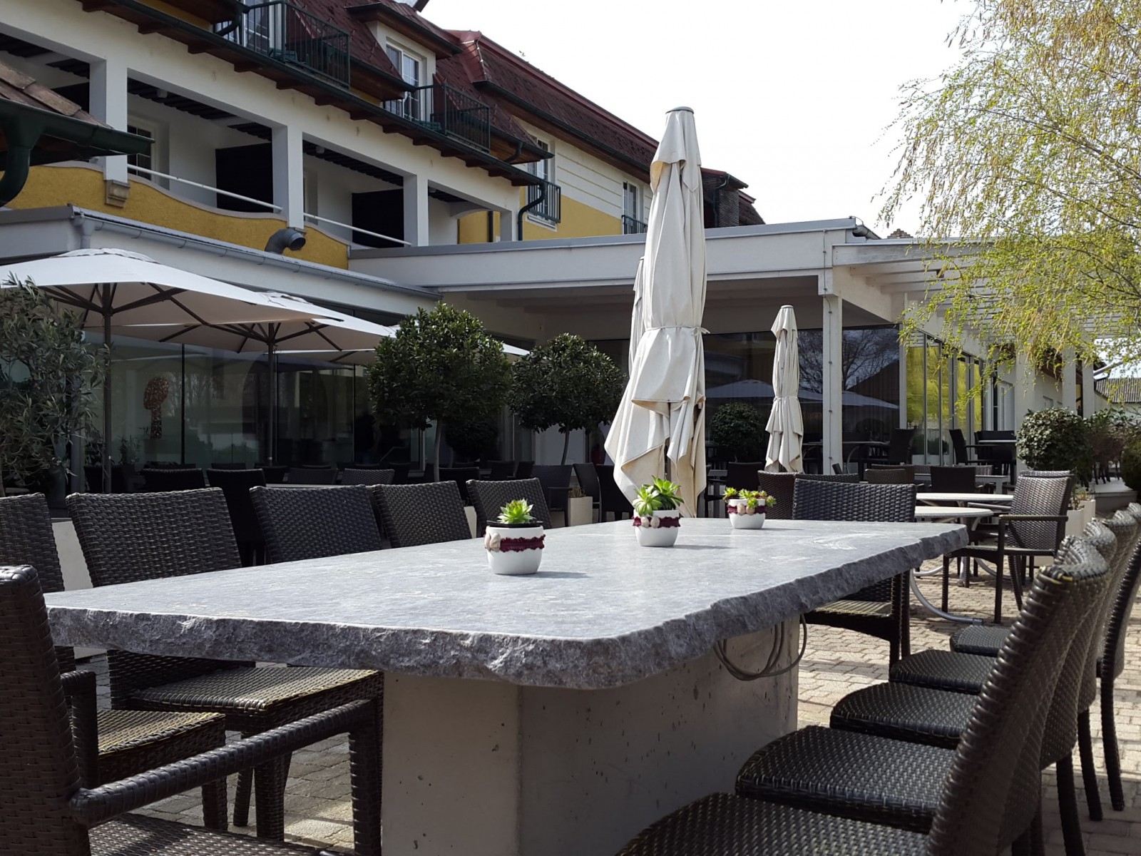 Birkenhof - Restaurant & Landhotel in Gols, Foto 15