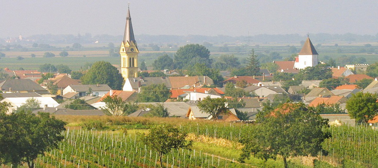 Birkenhof - Restaurant & Landhotel in Gols, Foto 1