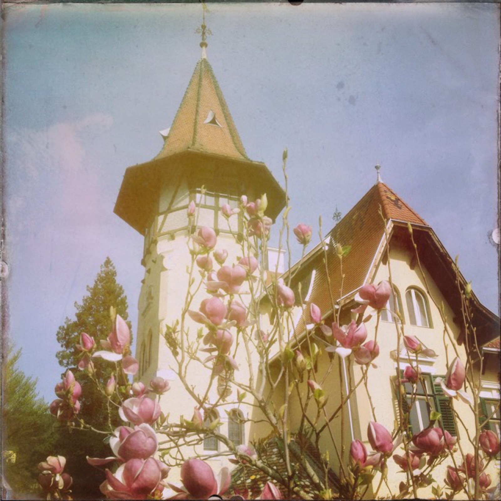 Villa Verdin in Millstatt, Foto 3