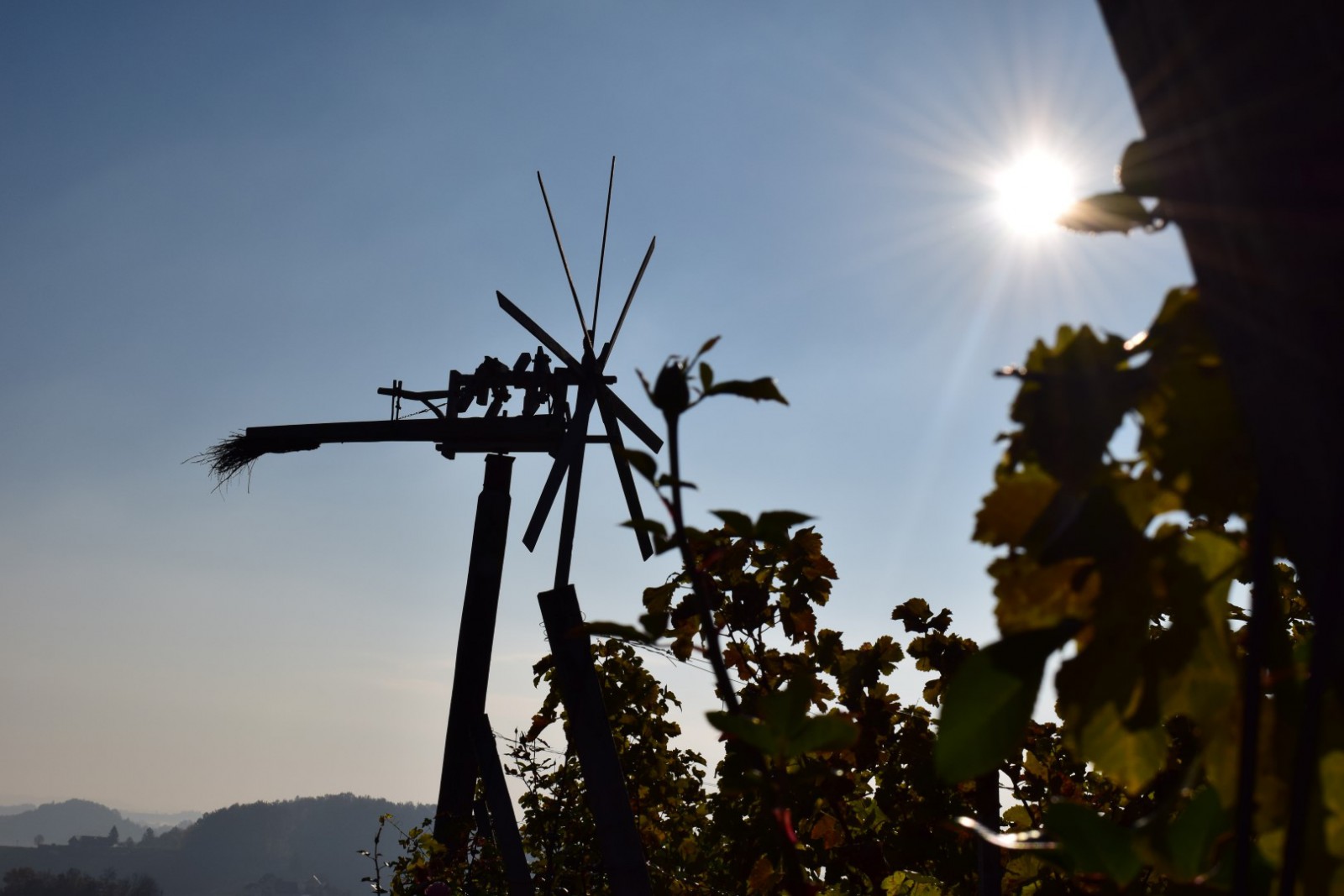 KulturWeingut Kästenburg in Ehrenhausen an der Weinstrasse, Foto 8