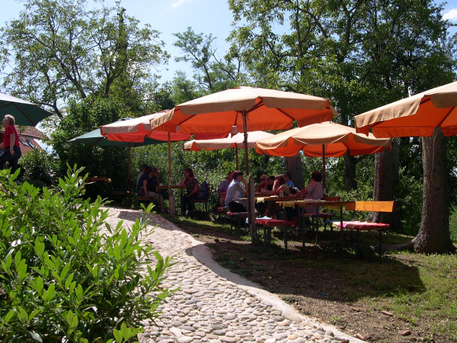 KulturWeingut Kästenburg in Ehrenhausen an der Weinstrasse, Foto 5