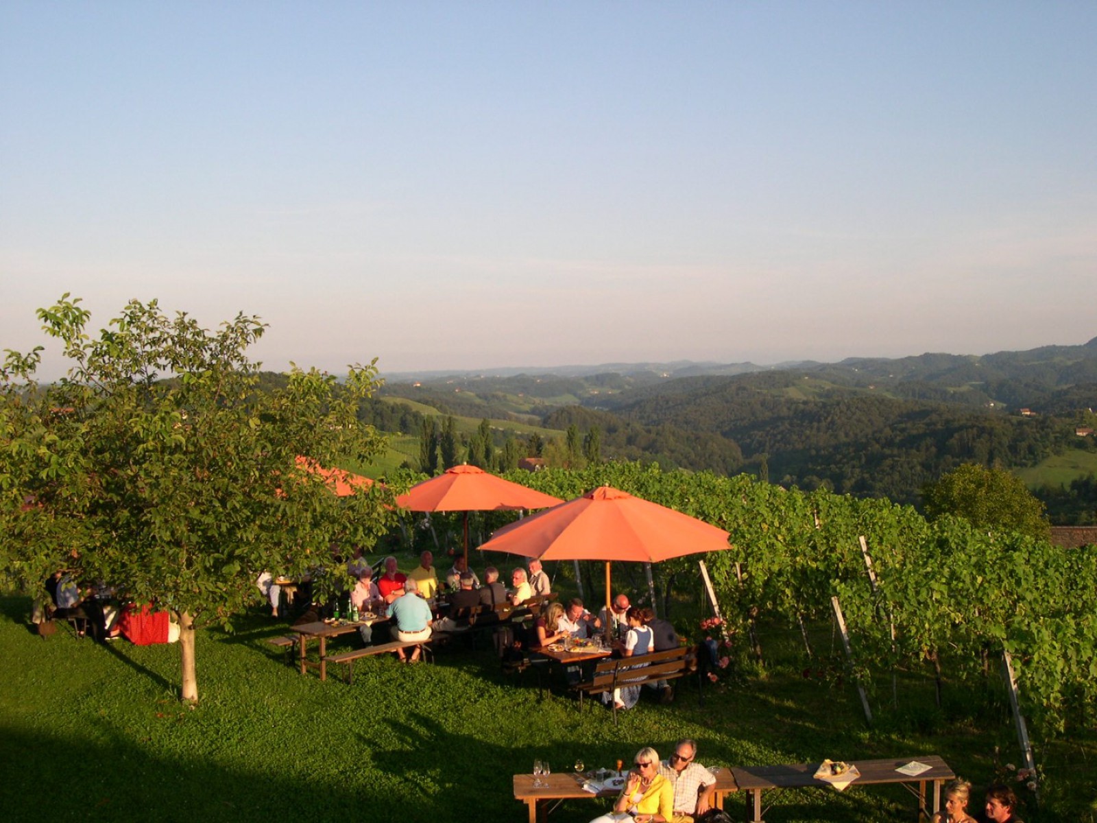 KulturWeingut Kästenburg in Ehrenhausen an der Weinstrasse, Foto 4