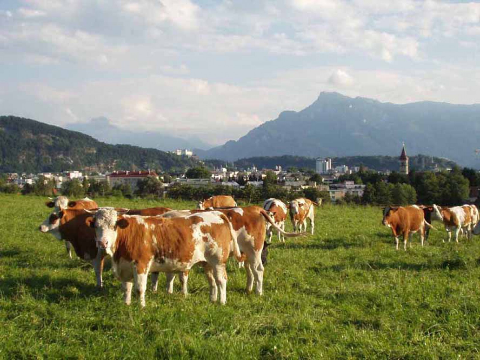 Mostschenke Rauchenbichlgut in Salzburg, Foto 1