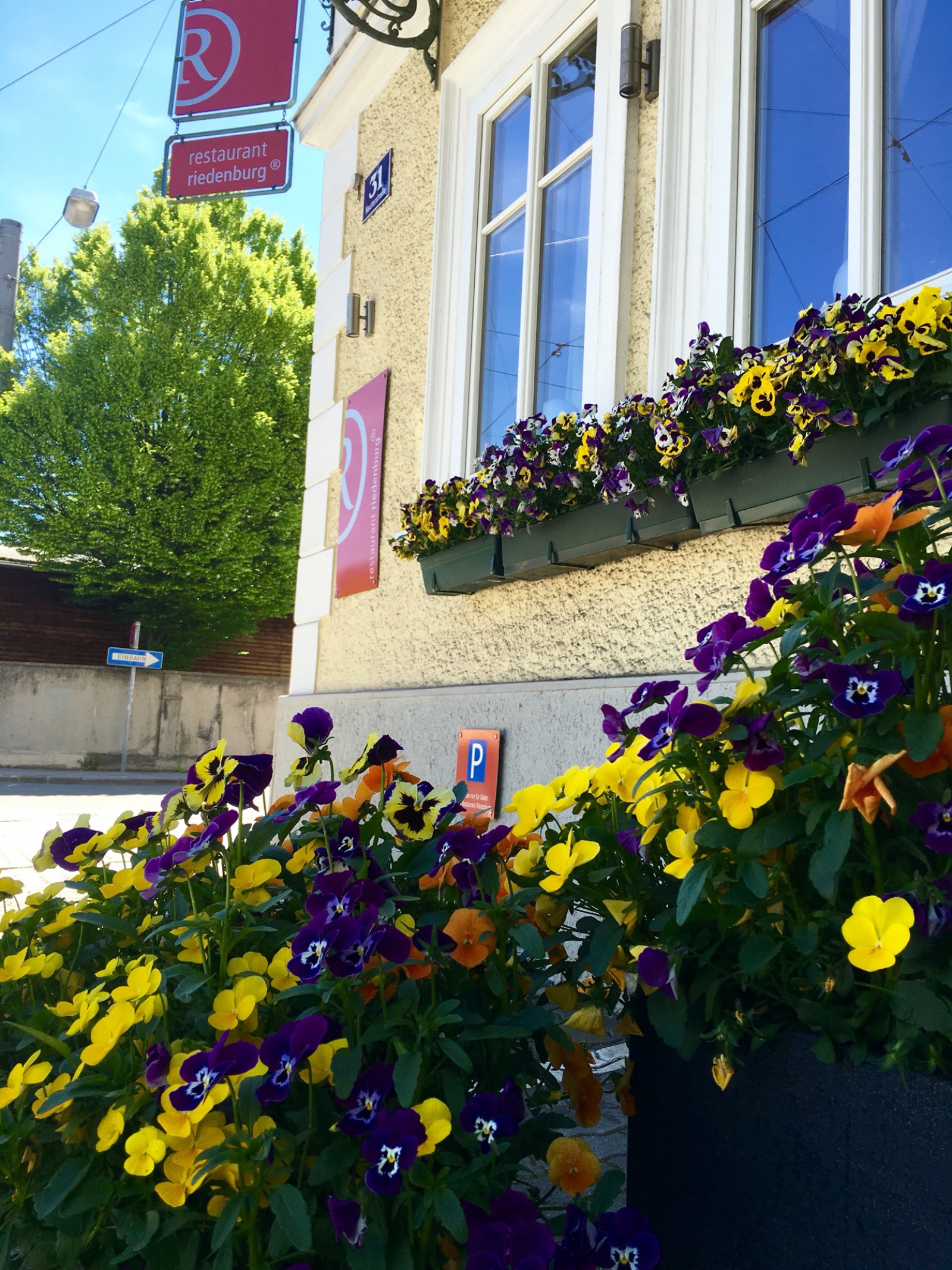 Restaurant Riedenburg in Salzburg, Foto 2