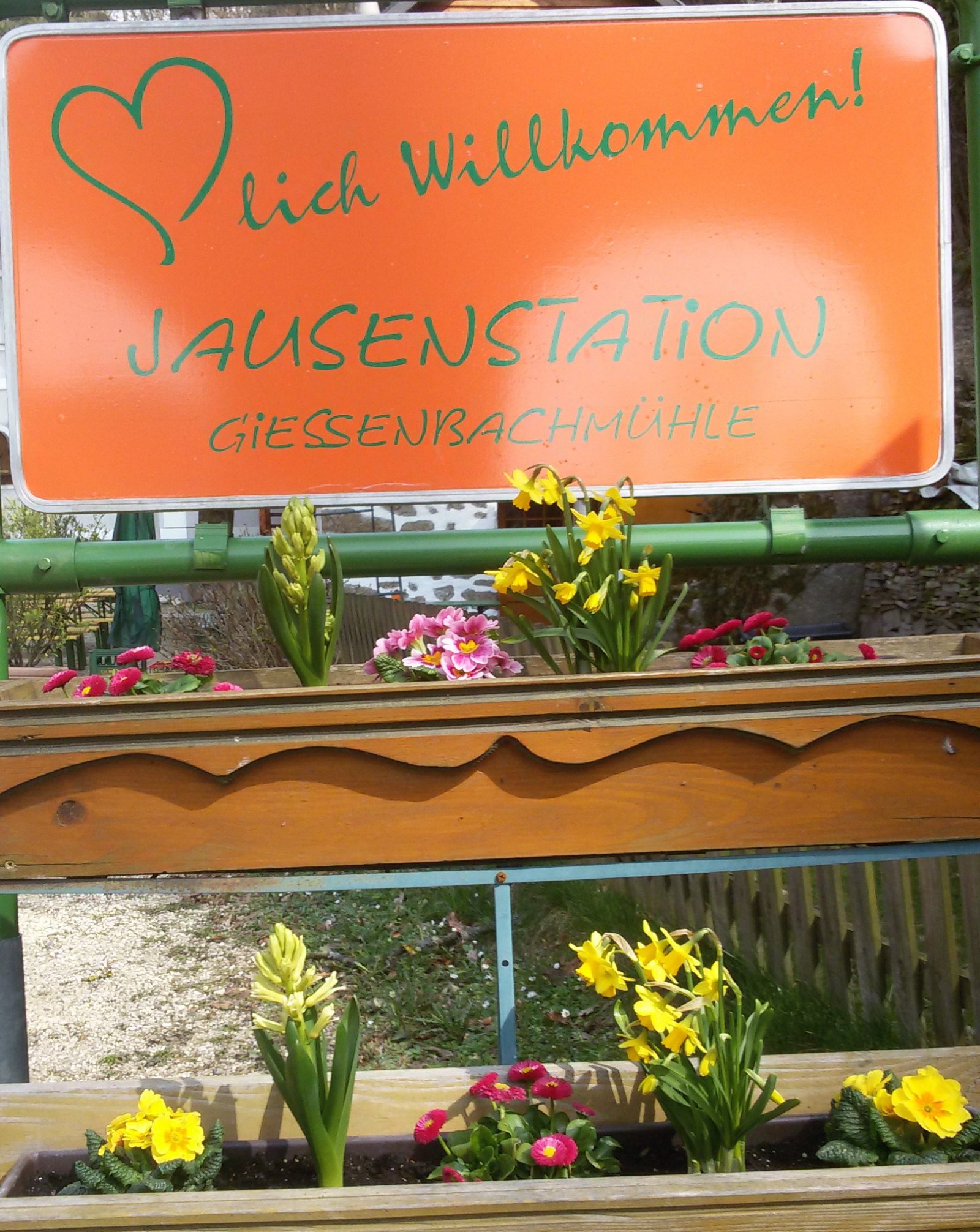 Jausenstation Giessenbachmuhle in St. Nikola an der Donau, Foto 4