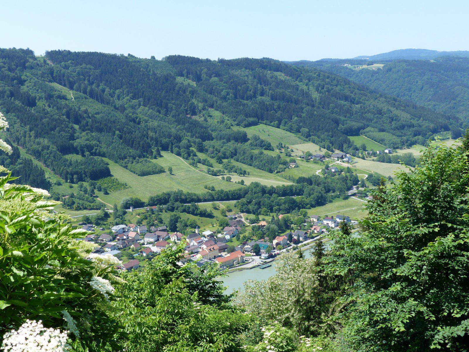 Gasthof zum Schiffmeister in Wesenufer 19, Foto 3
