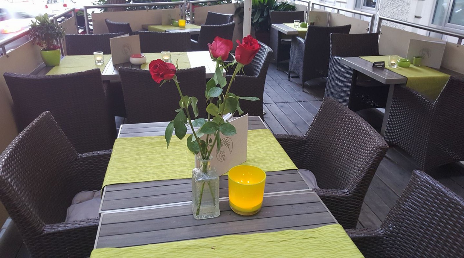 Grüner Kakadu in Wien, Foto 6