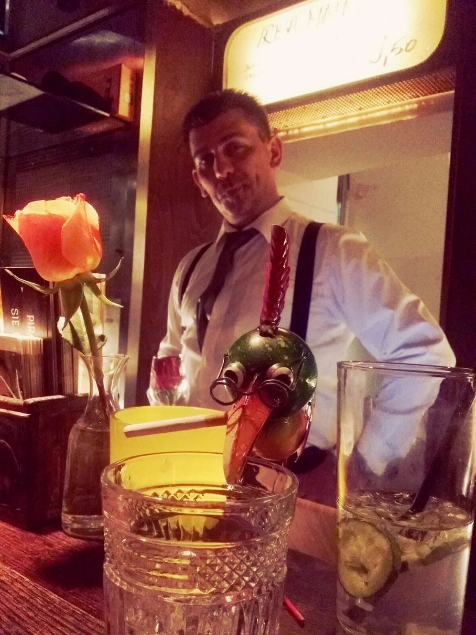 Grüner Kakadu in Wien, Foto 4