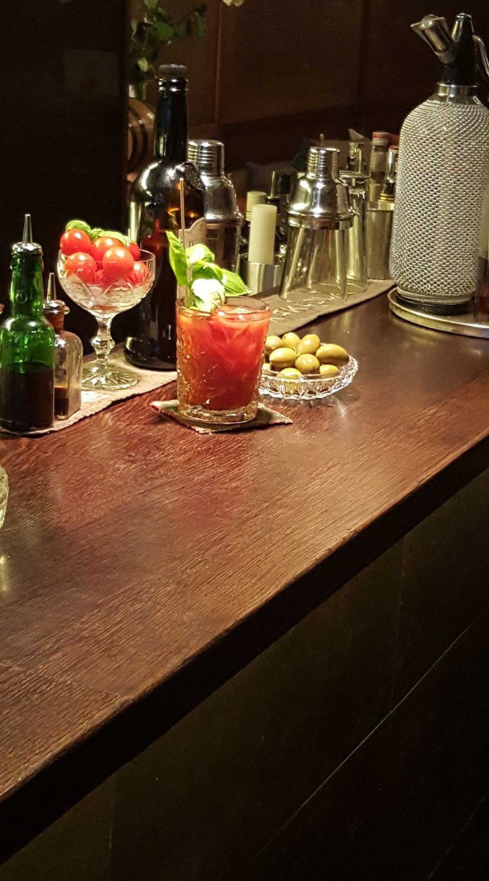 Grüner Kakadu in Wien, Foto 3
