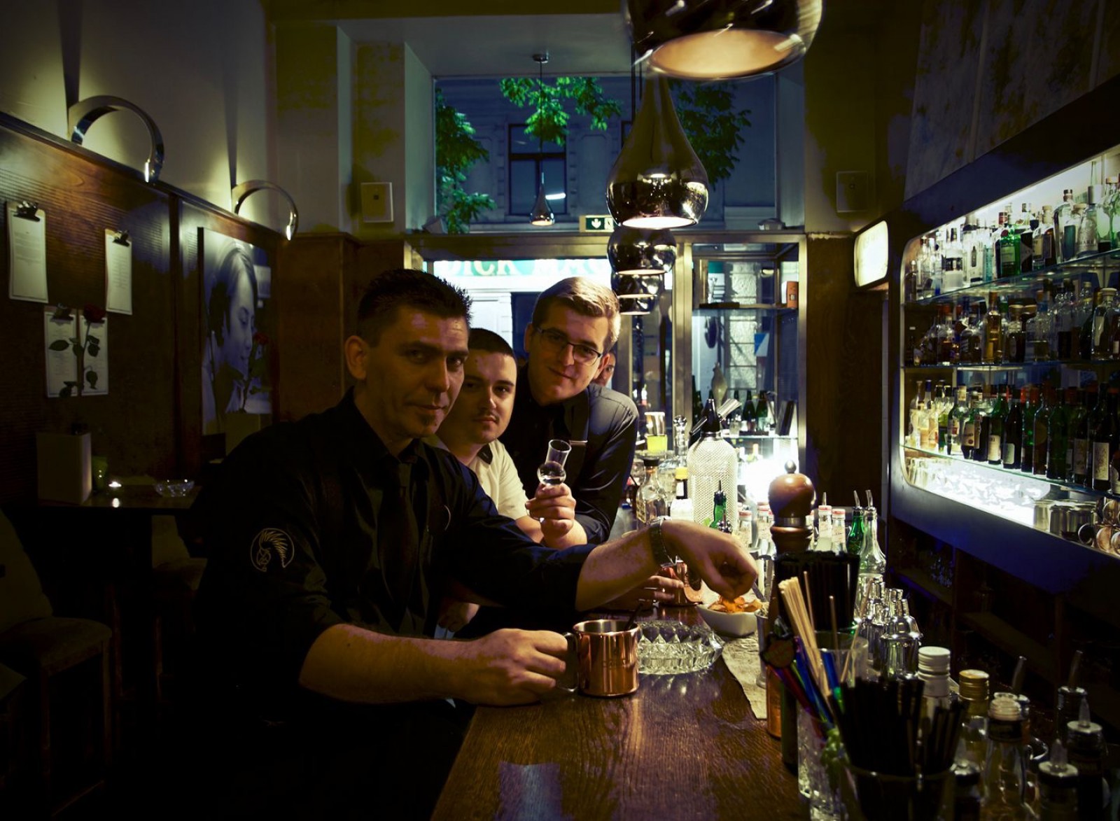 Grüner Kakadu in Wien, Foto 2