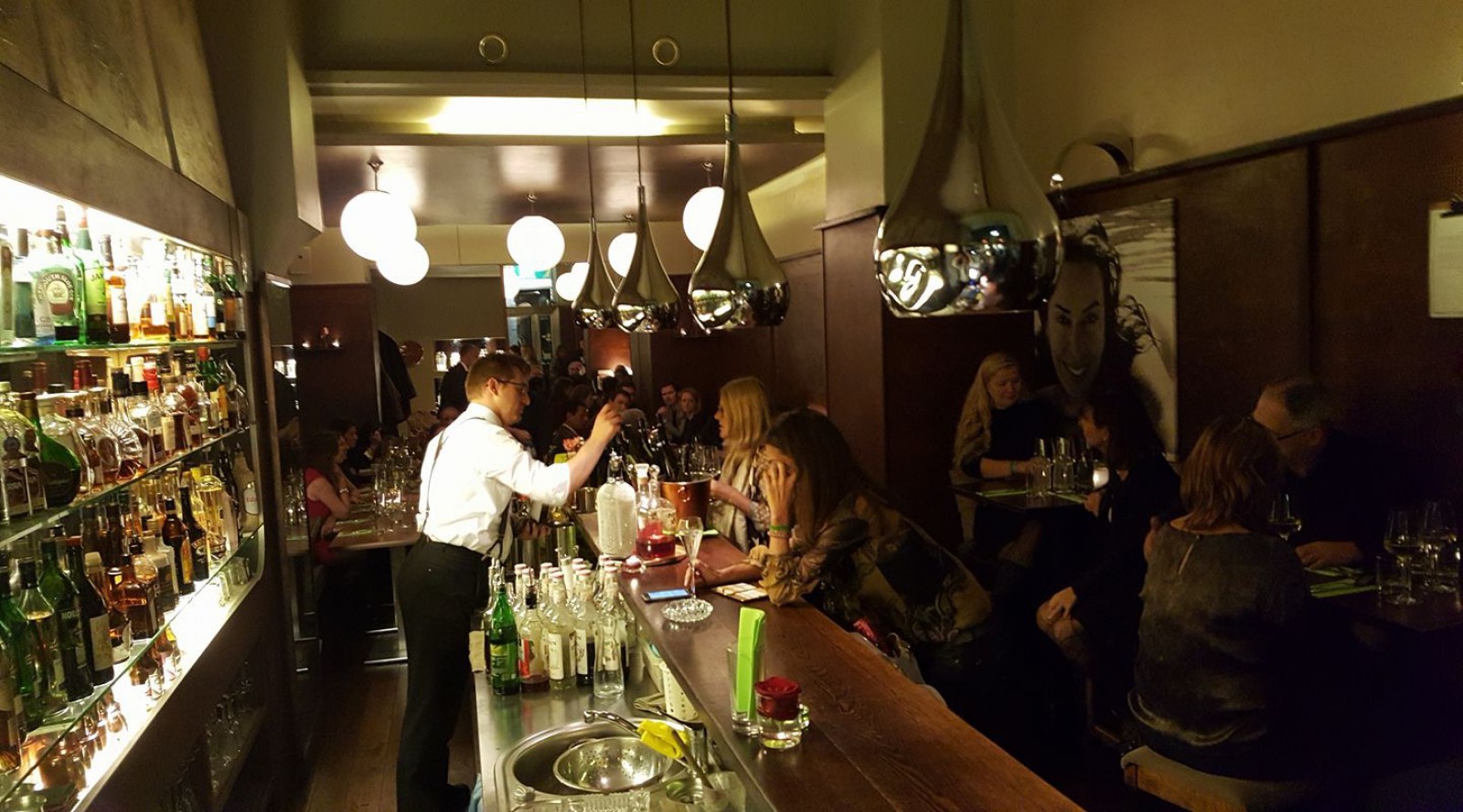 Grüner Kakadu in Wien, Foto 1