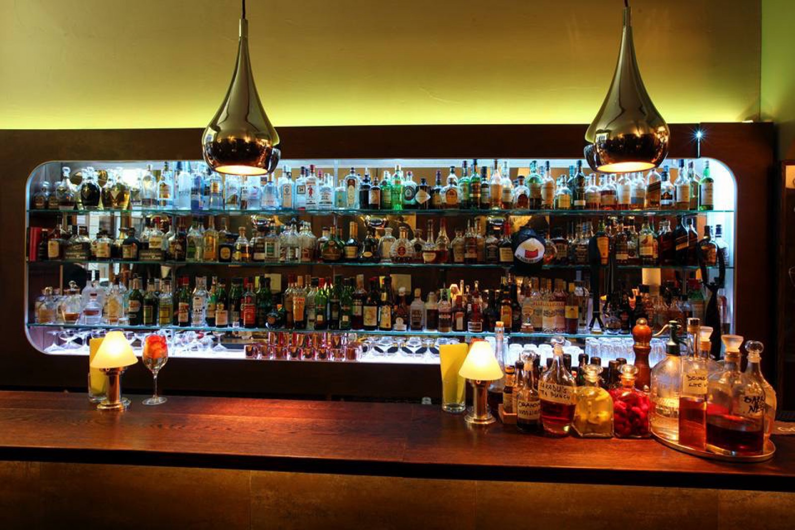Grüner Kakadu in Wien, Foto 14