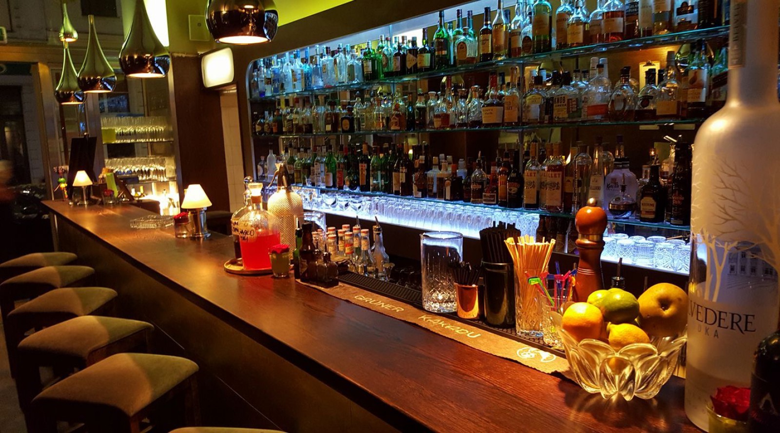 Grüner Kakadu in Wien, Foto 10
