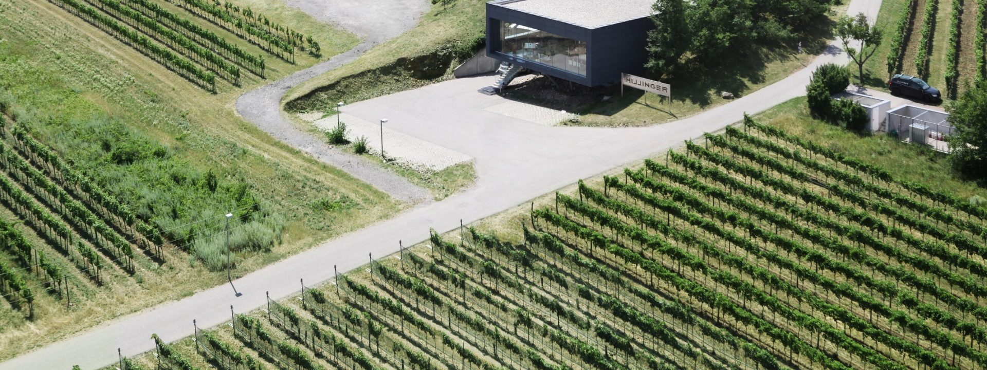 Leo Hillinger GmbH in Jois - Restaurant in Österreich