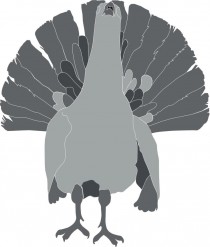Logo Auerhahn