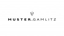 Logo Muster