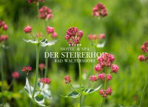 Restaurant Steirerhof