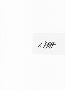 Logo S´pfiff