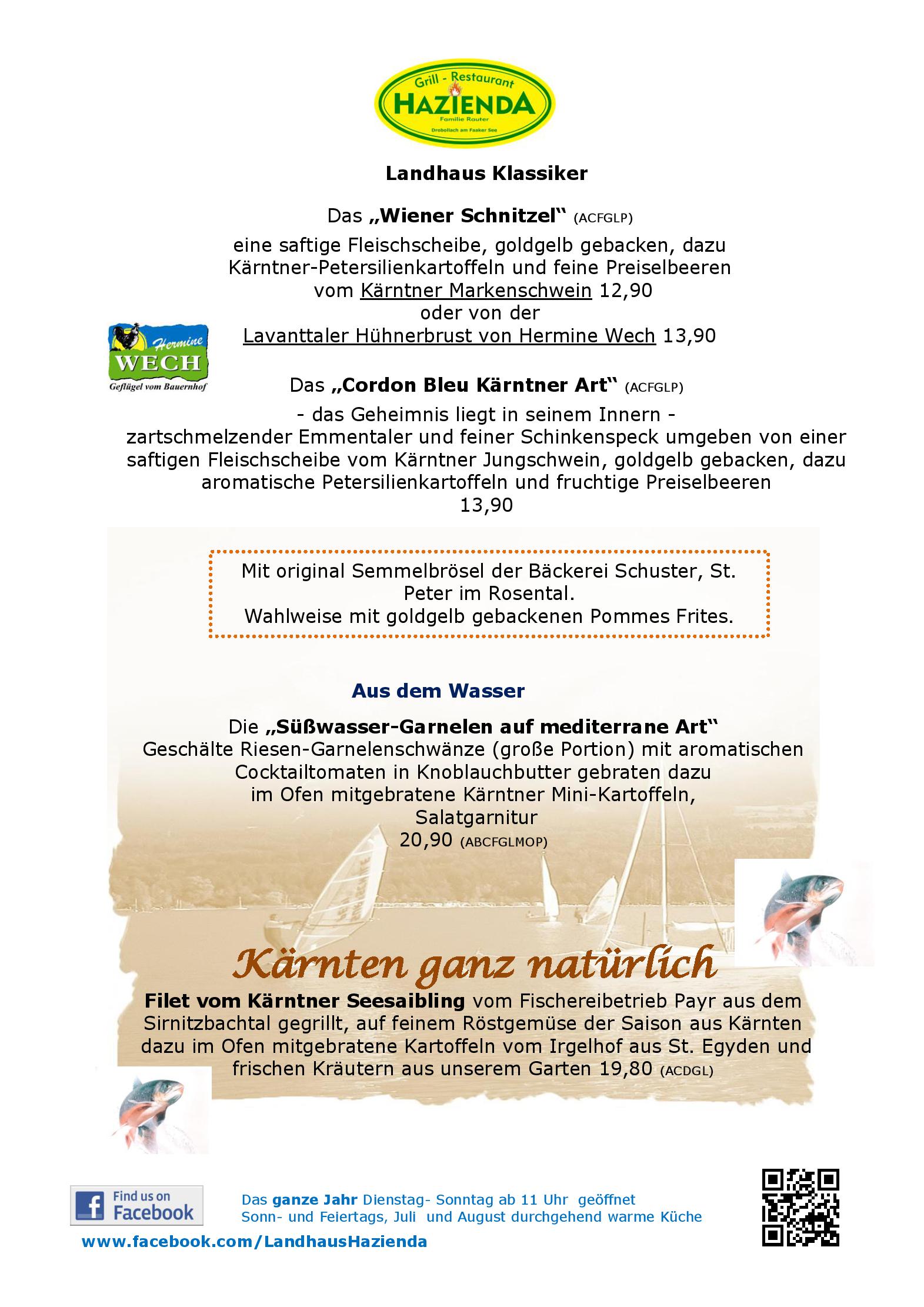 Speisekarte Landhaus Hazienda in Drobollach am Faaker See, Seite 3