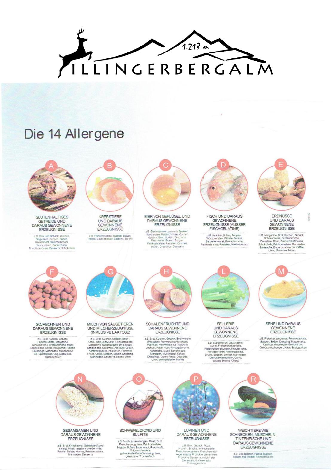 Speisekarte Illingerbergalm in Sankt Gilgen, Seite 7