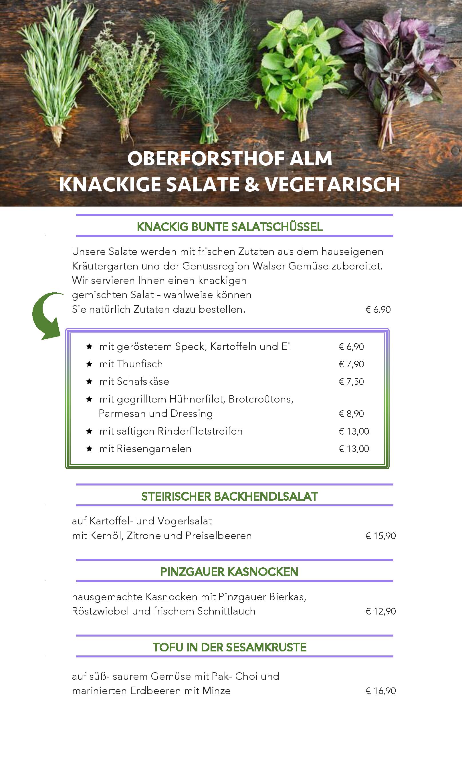 Speisekarte OBERFORSTHOFALM in Sankt Johann, Seite 9