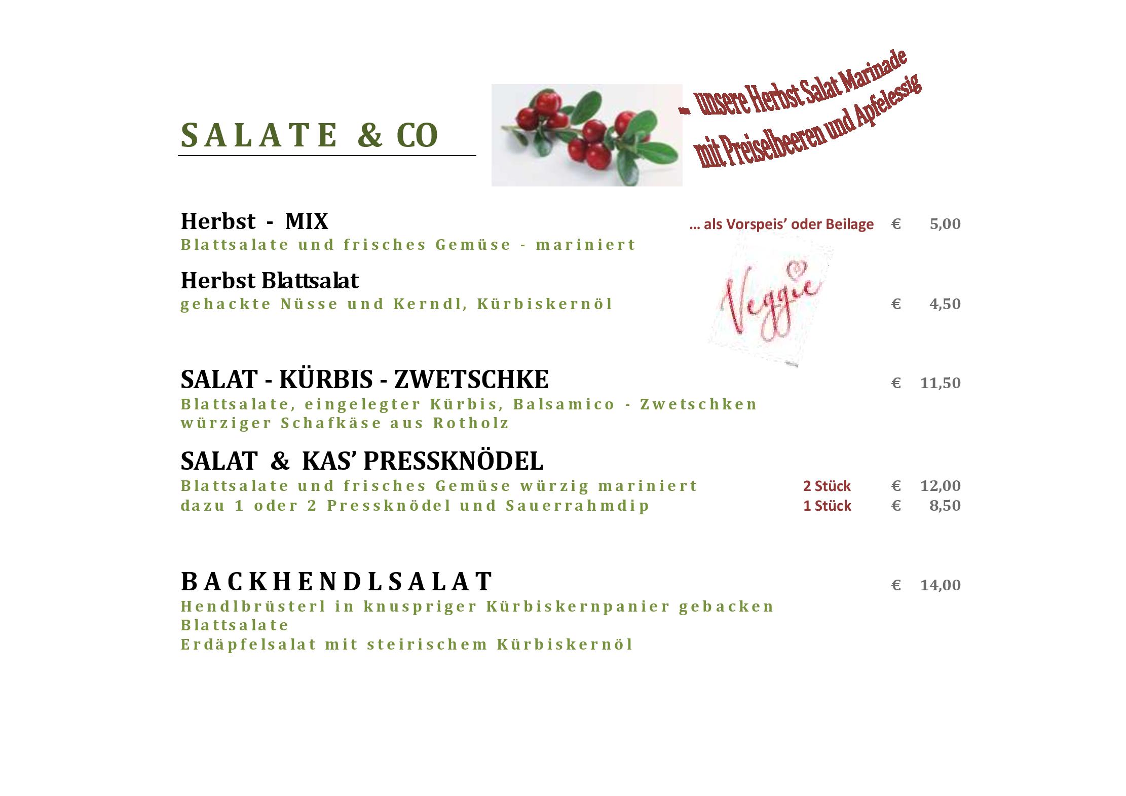Speisekarte Tiroler Wirtshaus Zur Schanz in Ebbs, Seite 9