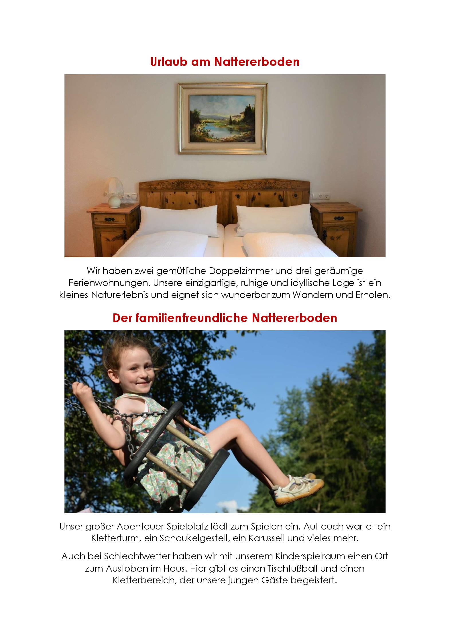 Speisekarte Wirtshaus Nattererboden in Innsbruck, Seite 2