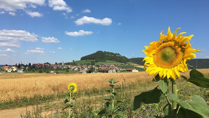 Hotel Gasthof zum Rössle