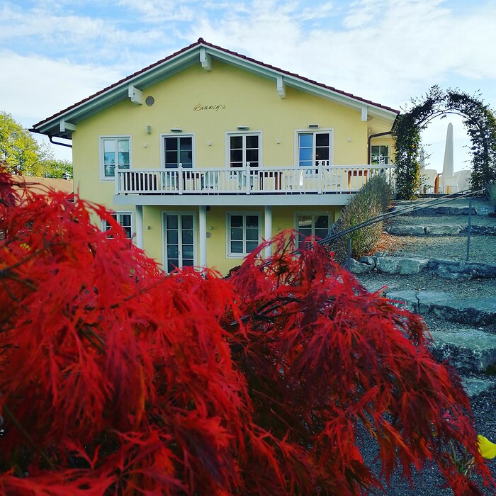 Ludwigs Restaurant