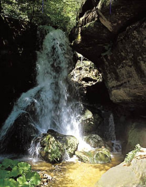 Gasthof Lichtenhainer Wasserfall