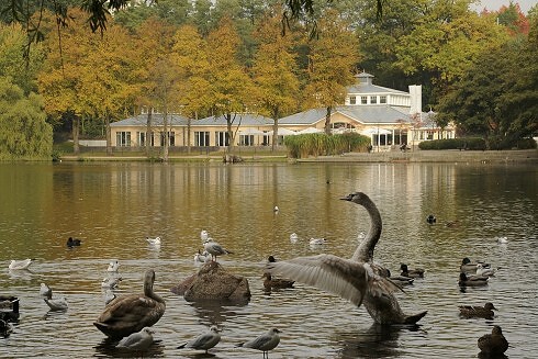 Restaurant Leuchtturm