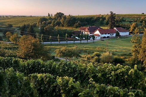 Restaurant Burrweiler Mühle