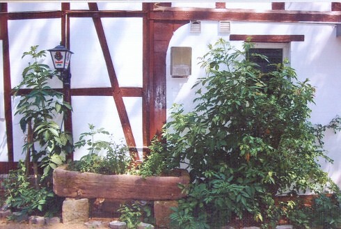Restaurant Zur Sonne