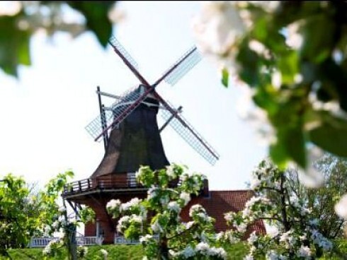 Restaurant Die Mühle Jork GmbH