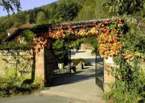 Restaurant Buschmühle