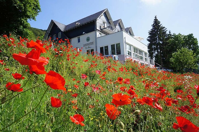 Restaurant Waldhotel Schinkenwirt