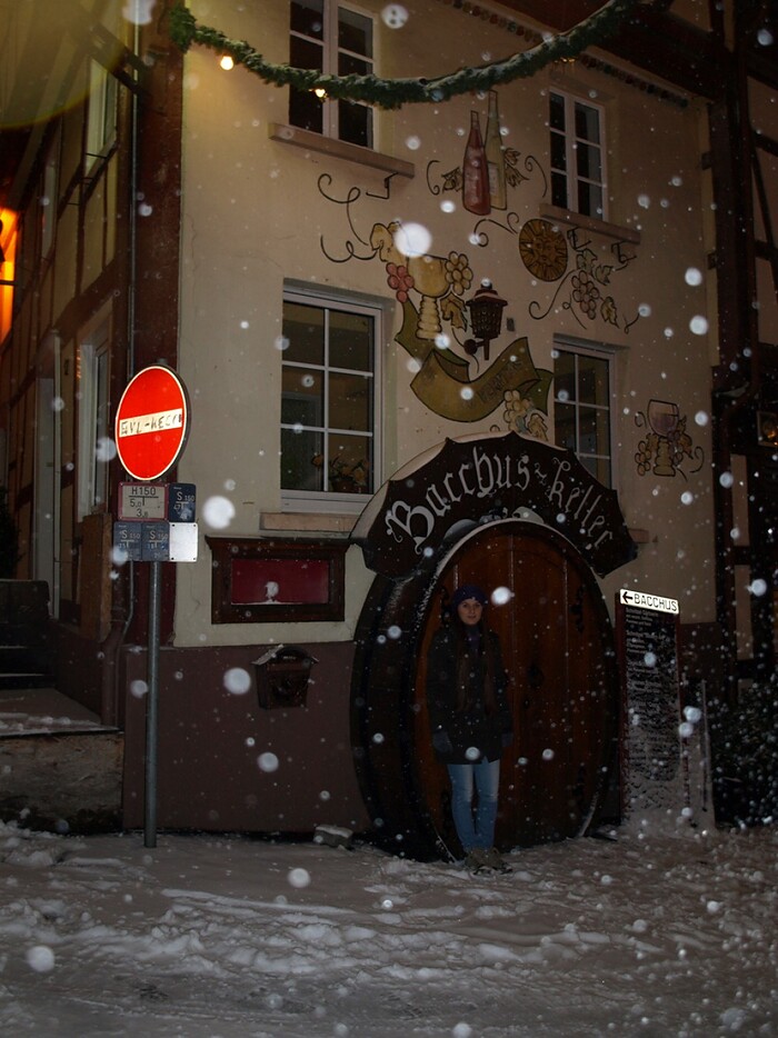 Restaurant Bacchus Keller