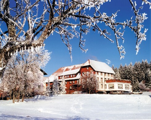 Restaurant Höhengasthof Adler