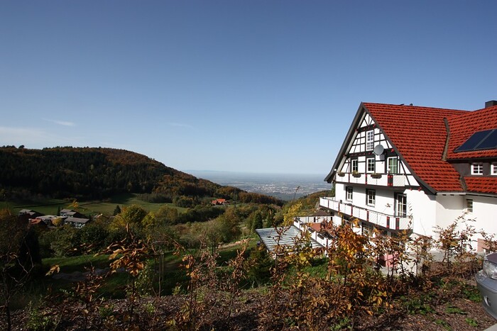 Restaurant Grüner Baum - Brandmatt