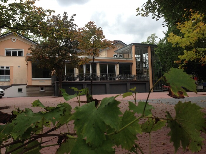 Restaurant Kurhaus am Rheingrafenstein