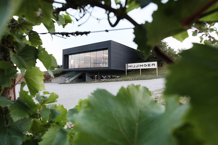 Restaurant Leo Hillinger GmbH in Jois